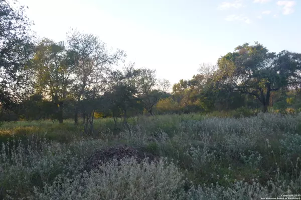 San Antonio, TX 78264,00 TRUMBO RD Trumbo