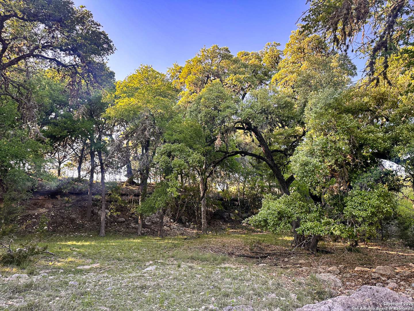 Bandera, TX 78003,LOT 12 Brown Saddle