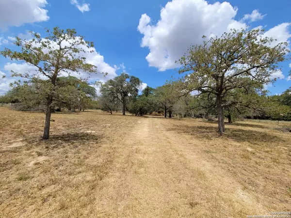 Floresville, TX 78114,825 County Road 320