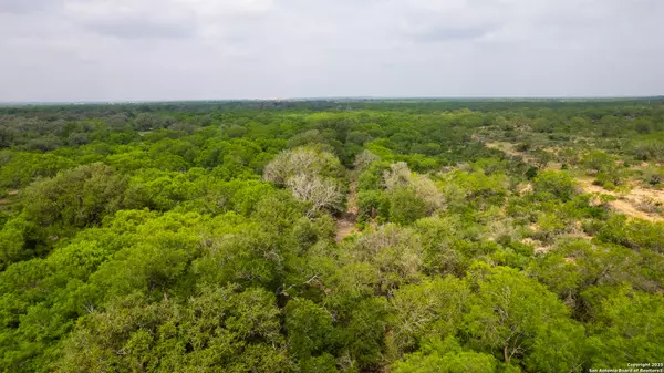 Dilley, TX 78017,000 Fm 1581