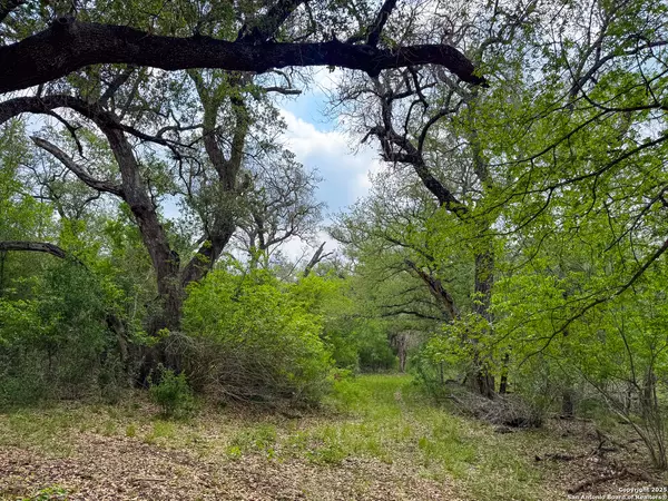 Dilley, TX 78017,000 Fm 1581