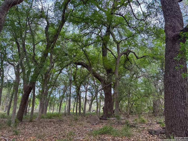 000 Fm 1581, Dilley, TX 78017