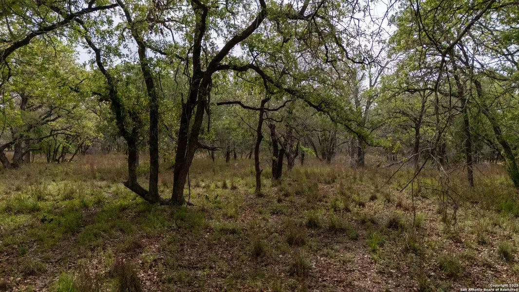 TBD Post Oak, Floresville, TX 78114