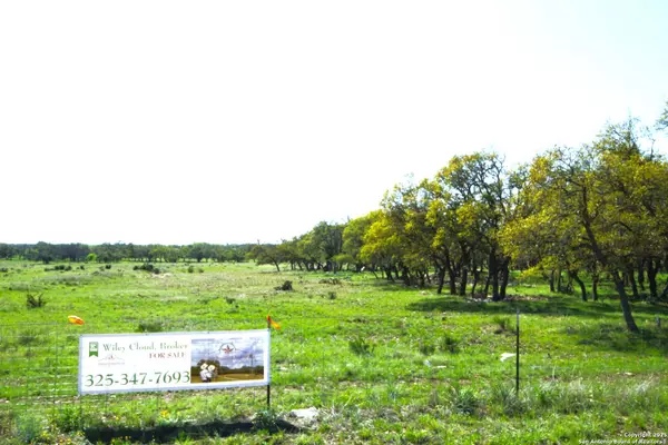 0000 RR 783, Harper, TX 78631