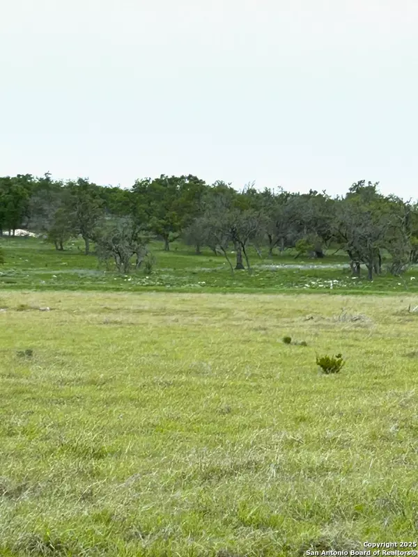 Harper, TX 78631,0000 RR 783