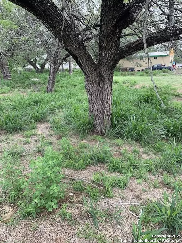 Devine, TX 78016,413 Ross