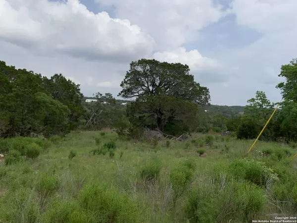 Canyon Lake, TX 78133,421 & 431 Cliffview Circle