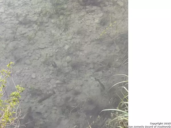 Uvalde, TX 78801,1331 Private Road 2415