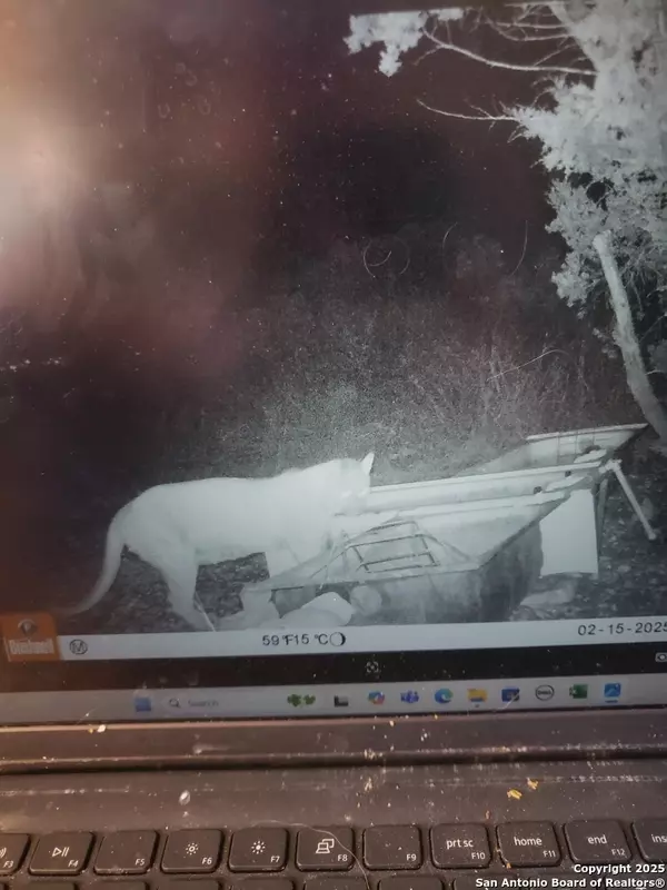 Brackettville, TX 78832,LOT 28 LEONA RANCH