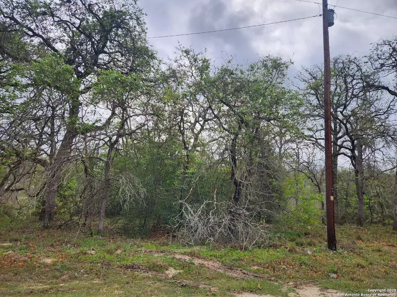 1247 Vivroux Ranch, Seguin, TX 78155