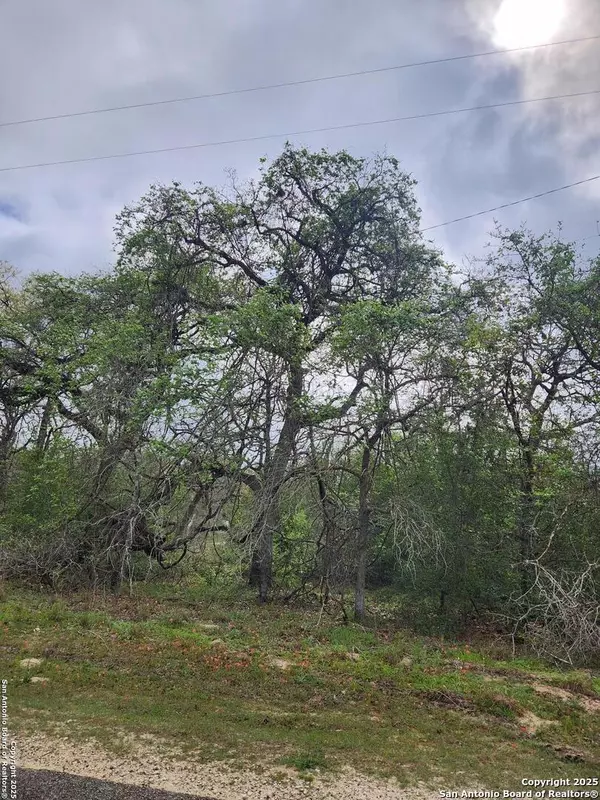 Seguin, TX 78155,1247 Vivroux Ranch