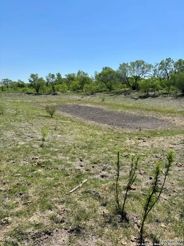 Natalia, TX 78059,TBD County Road 5718