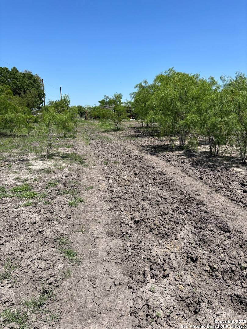 Natalia, TX 78059,TBD County Road 5718