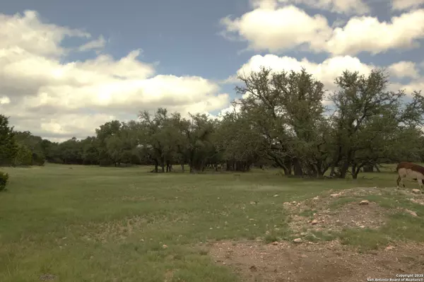 Mountain Home, TX 78058,510 Dead End Rd.