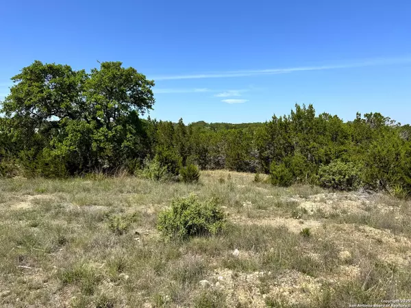 Canyon Lake, TX 78133,0 Tbd San Salvadore