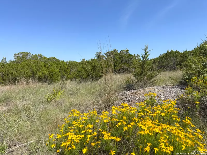 0 Tbd San Salvadore, Canyon Lake, TX 78133