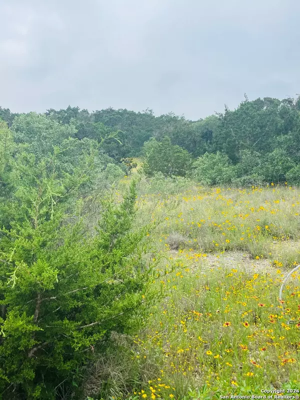 14333 SANTA LOMA, Helotes, TX 78023-2982