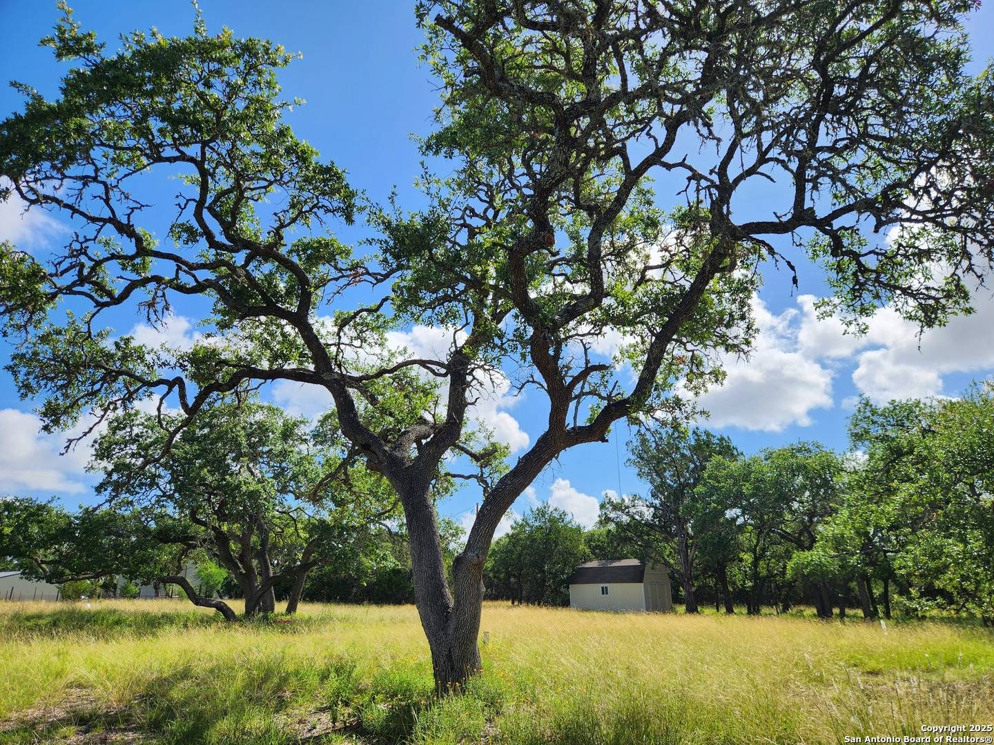 11360 Fm 32, Fischer, TX 78623