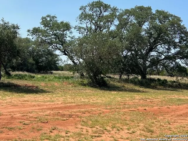 Pleasanton, TX 78064,3242 county road 429