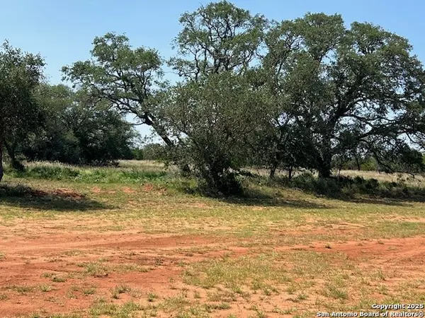 3242 county road 429, Pleasanton, TX 78064
