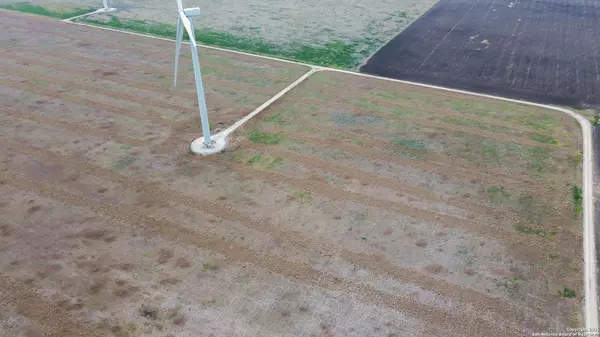 Skidmore, TX 78389,0000 CR 1359