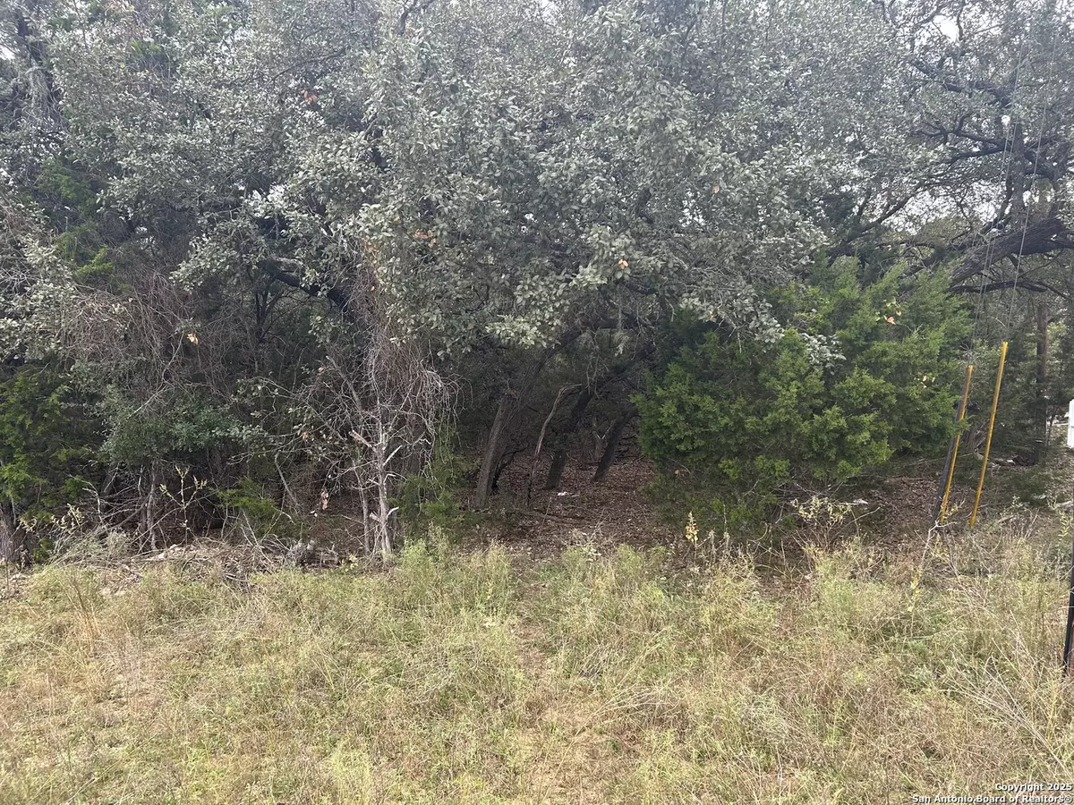 Bandera, TX 78003,267 Tejas
