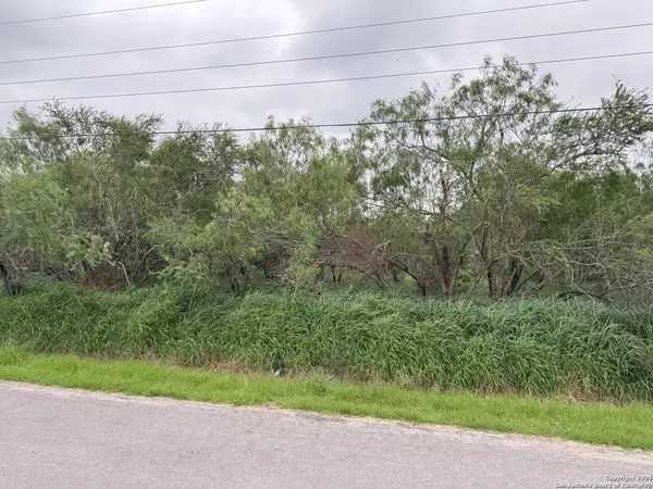 2008 lopez -gutierrez, Donna, TX 78537