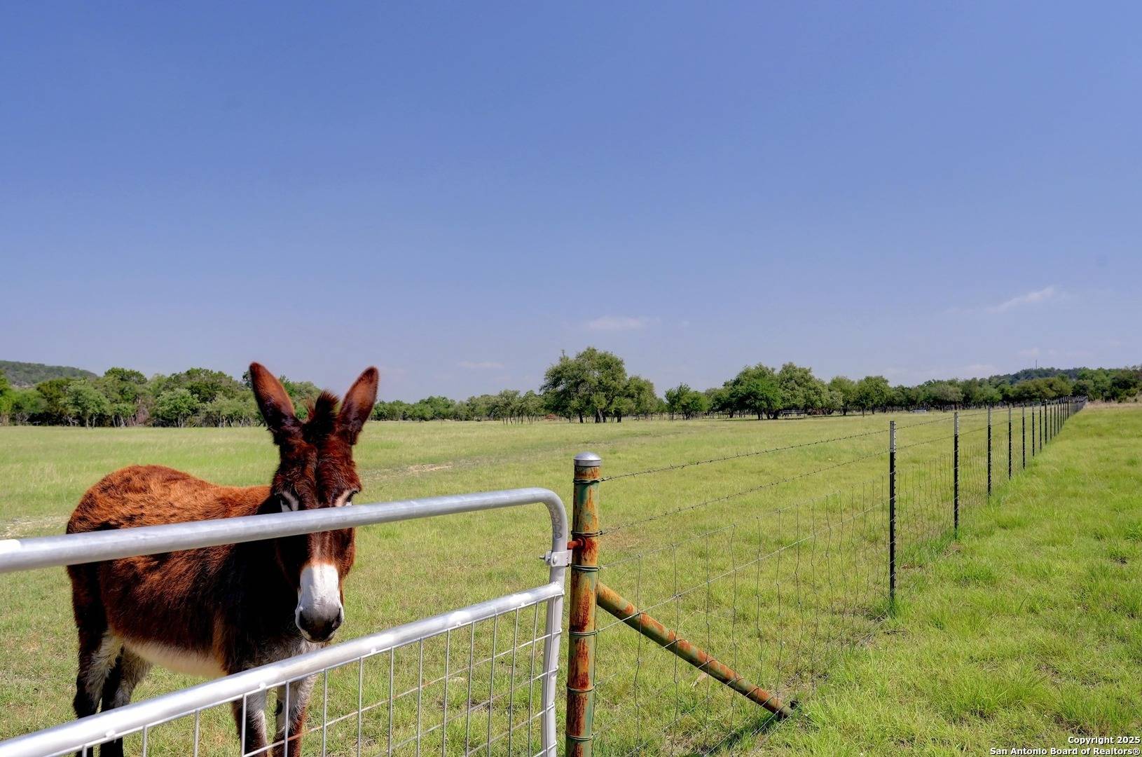 Blanco, TX 78606,880 white ranch