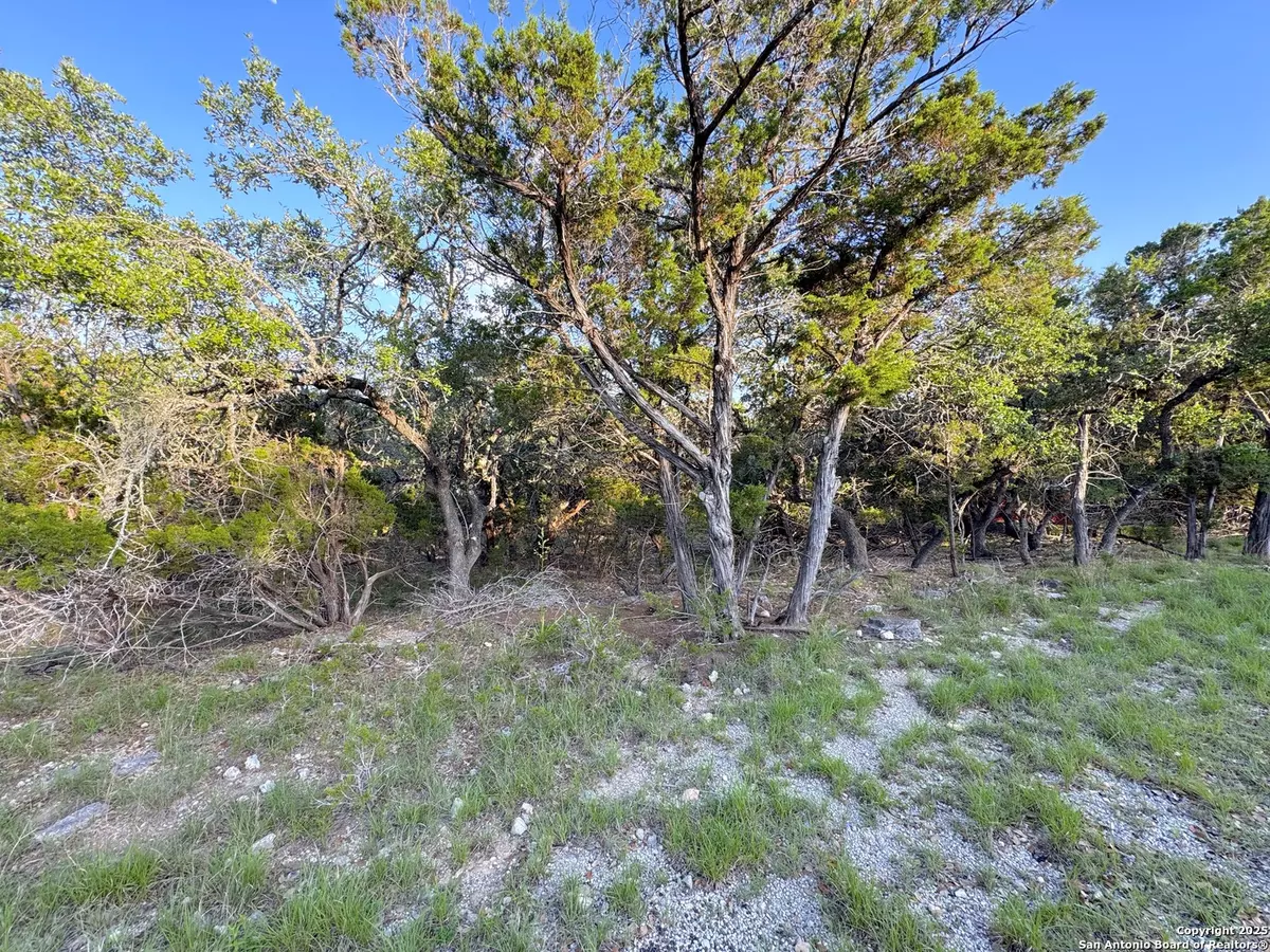 Canyon Lake, TX 78133,1177 Hallmark
