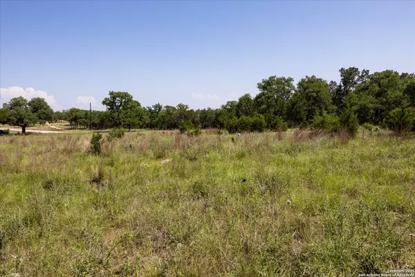 Bulverde, TX 78163,32568 TIERRA ROBLES DR