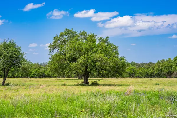 Harper, TX 79631,LOT 79 Stock Pond Dr