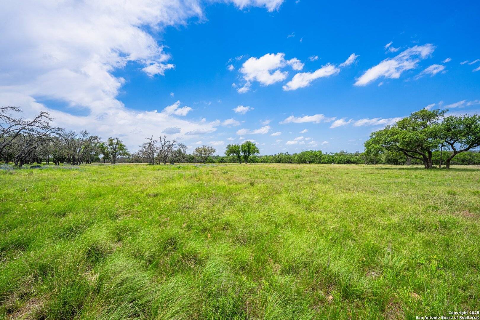 Harper, TX 79631,LOT 79 Stock Pond Dr