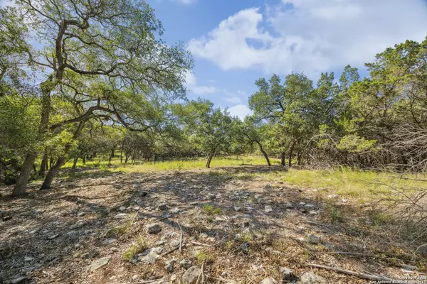 San Antonio, TX 78255,23341 Fork