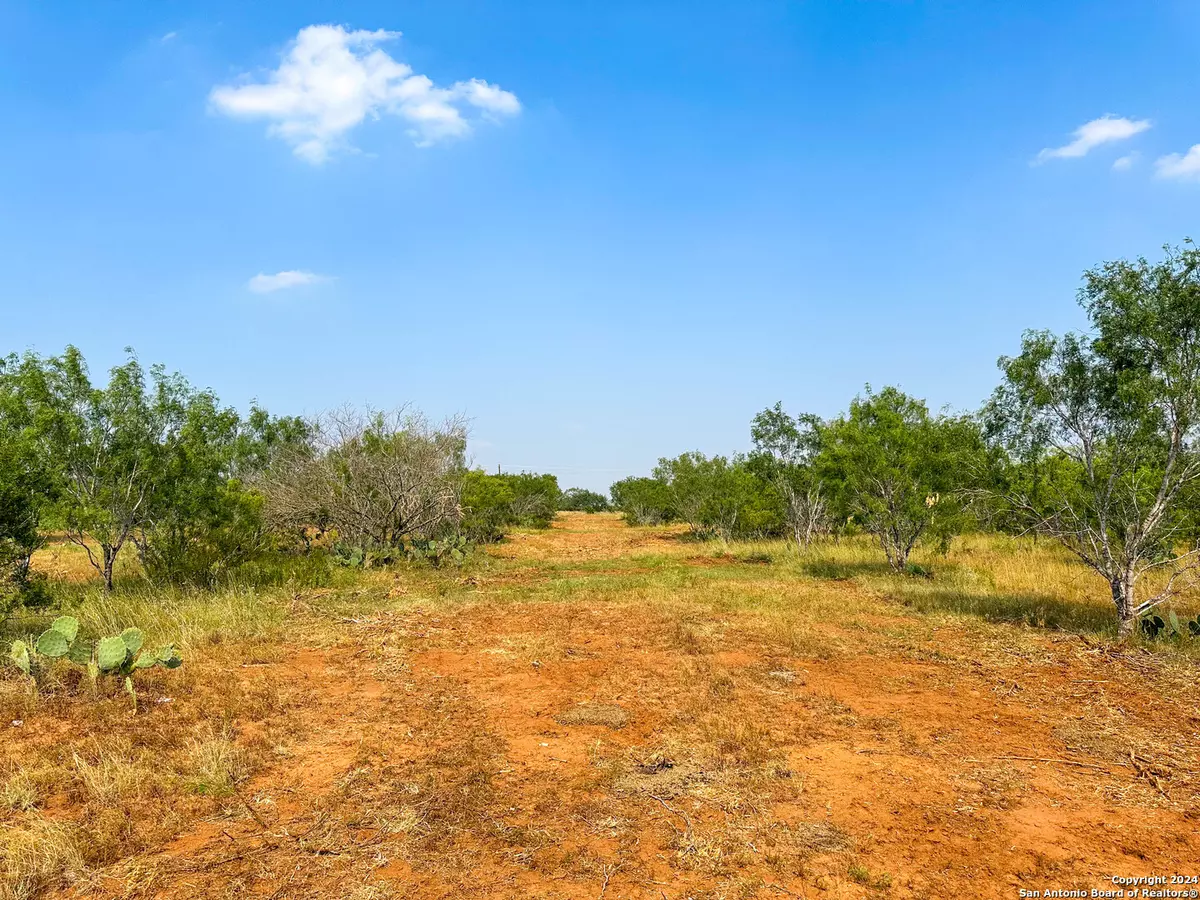 Pleasanton, TX 78064,000 County Road 429