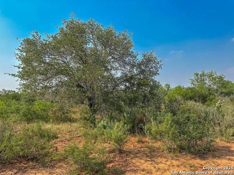 1294 CR 429, Pleasanton, TX 78064