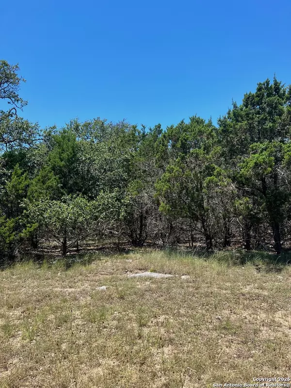 Boerne, TX 78015,551 Ranch Vly