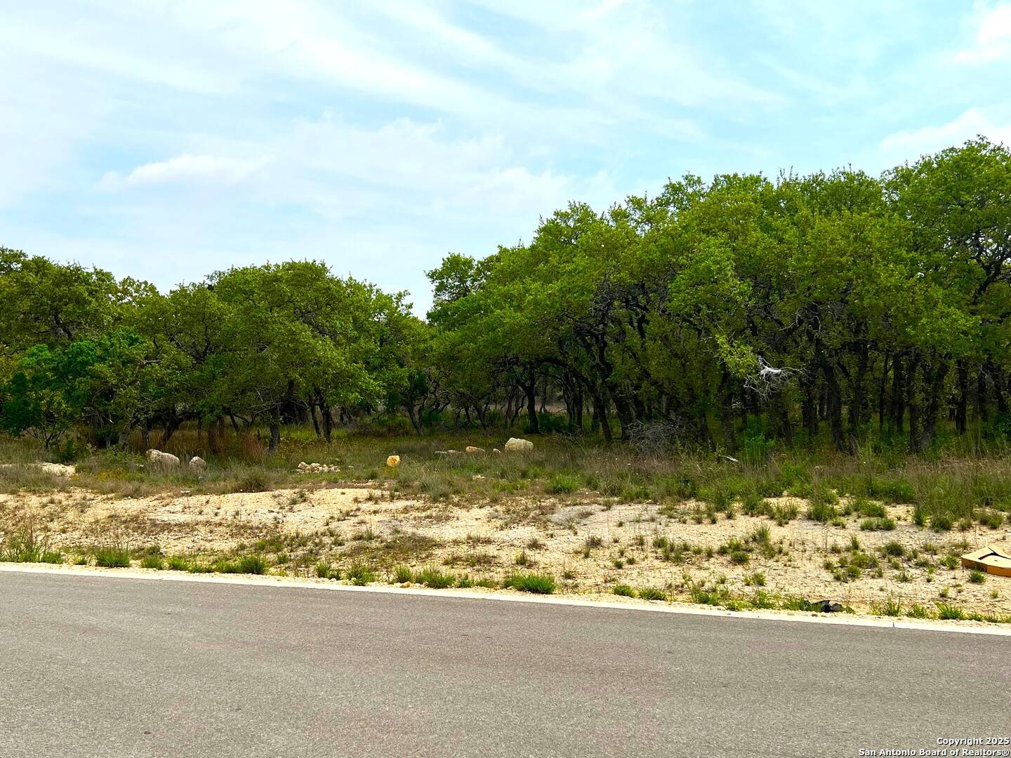 Bulverde, TX 78163,34676 Ansley Ridge Trl
