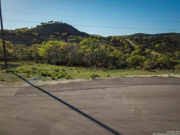 Pipe Creek, TX 78063,000 Blackbuck Trail