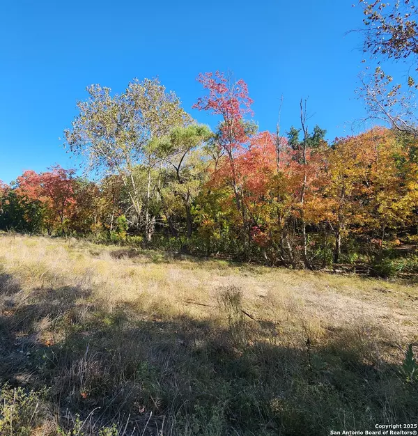 Boerne, TX 78006,0 School St & San Antonio