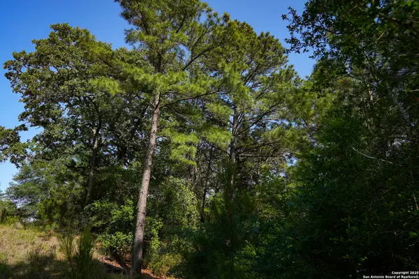 Smithville, TX 78957,TBD Nink Road