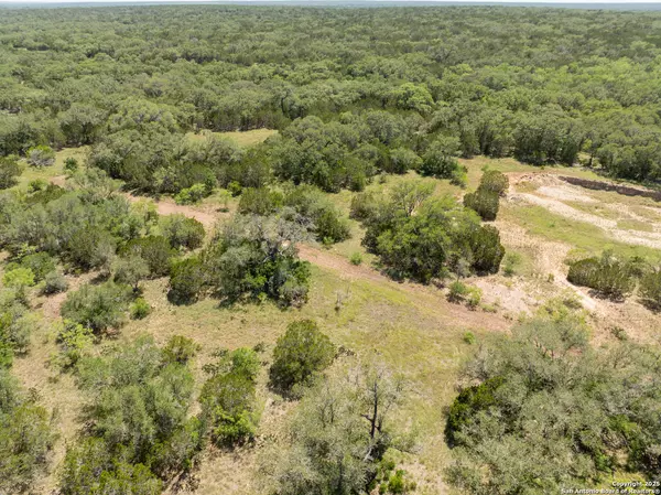 Dhanis, TX 78850,LOT 46 Antler Forest