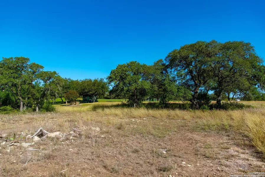 425 George Dolson, Blanco, TX 78606