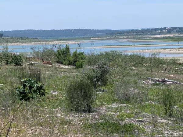 Canyon Lake, TX 78133,2120 Lakeshore