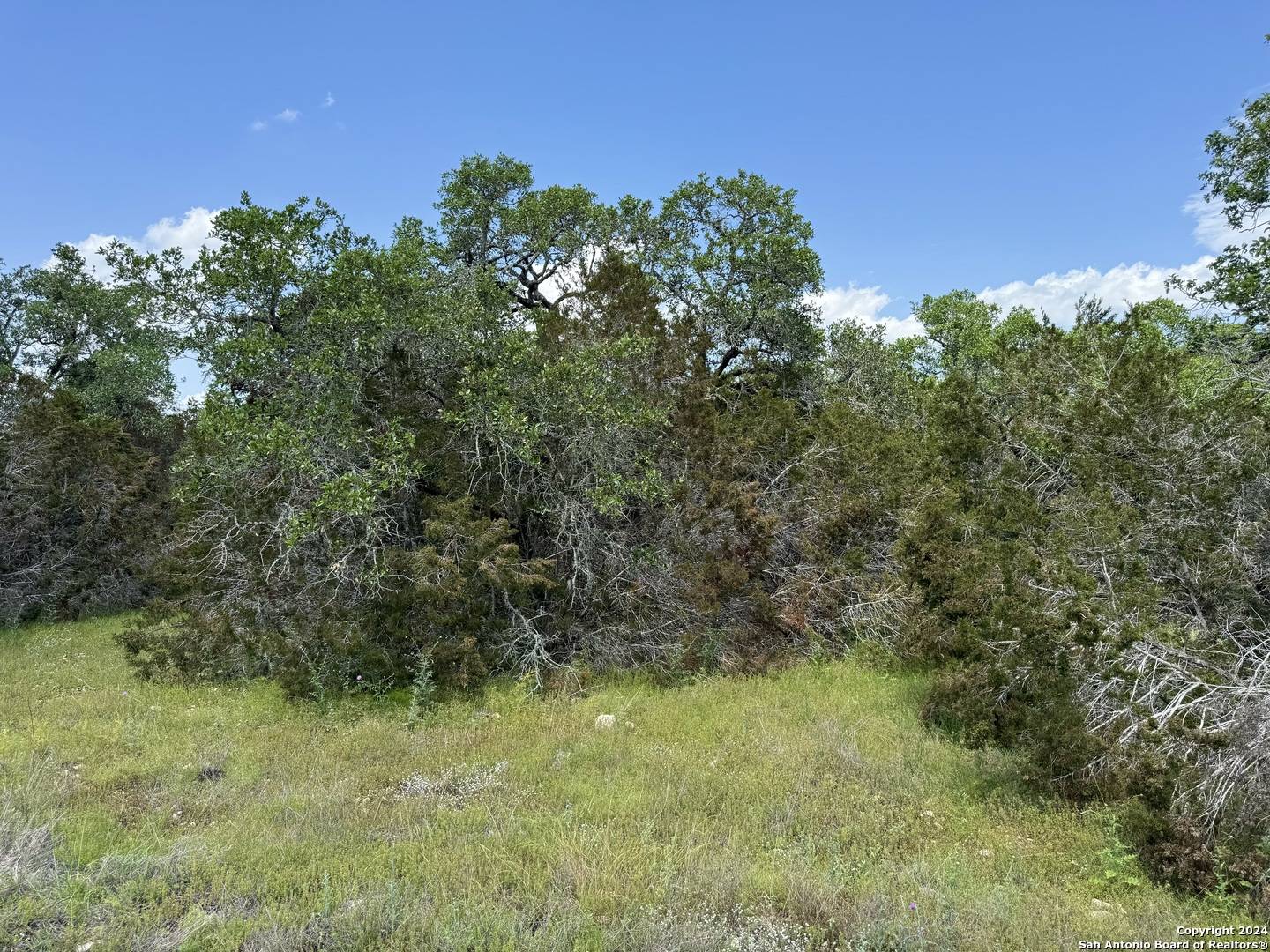 Spring Branch, TX 78070,343 Serenity Pass
