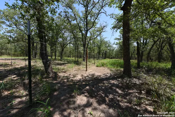 Kingsbury, TX 78638,1464 Cross Road