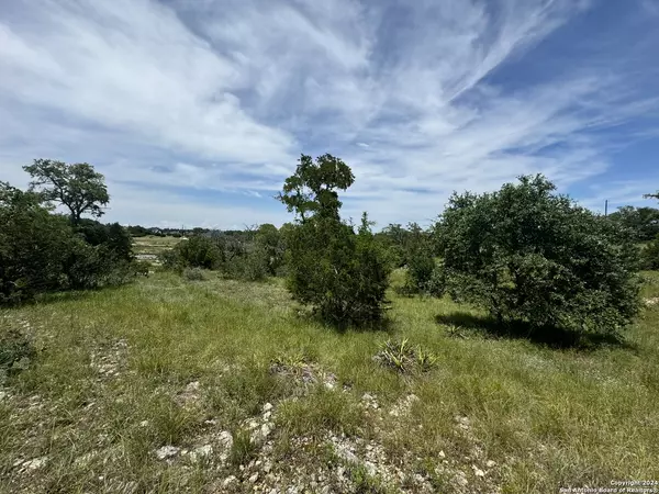 Blanco, TX 78606,134 Eli Chandler