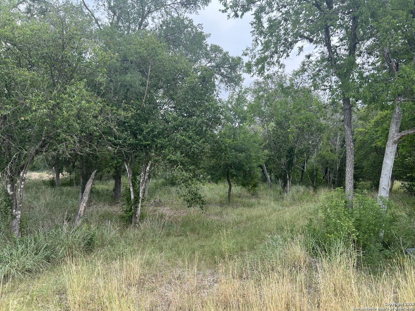 483 Oak Knoll, San Antonio, TX 78228