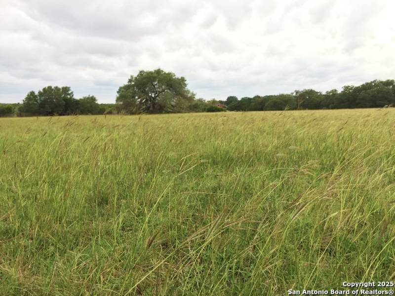 New Braunfels, TX 78132,2444 Purgatory
