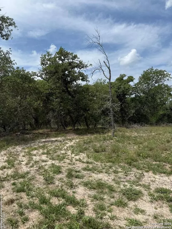 La Vernia, TX 78121,2120 Maldonado