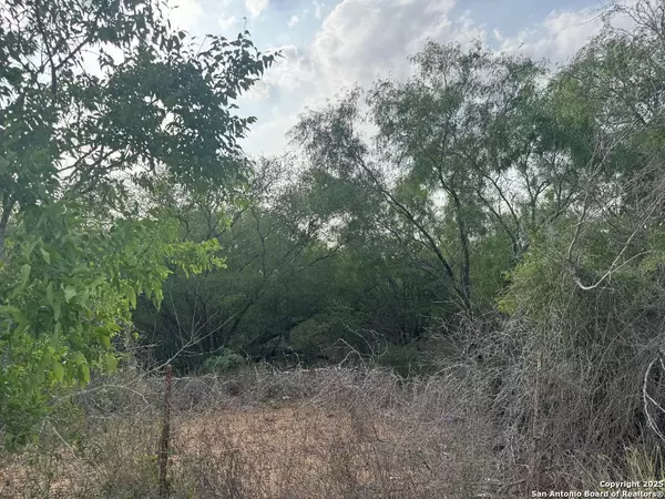 Poteet, TX 78065,000 Granato